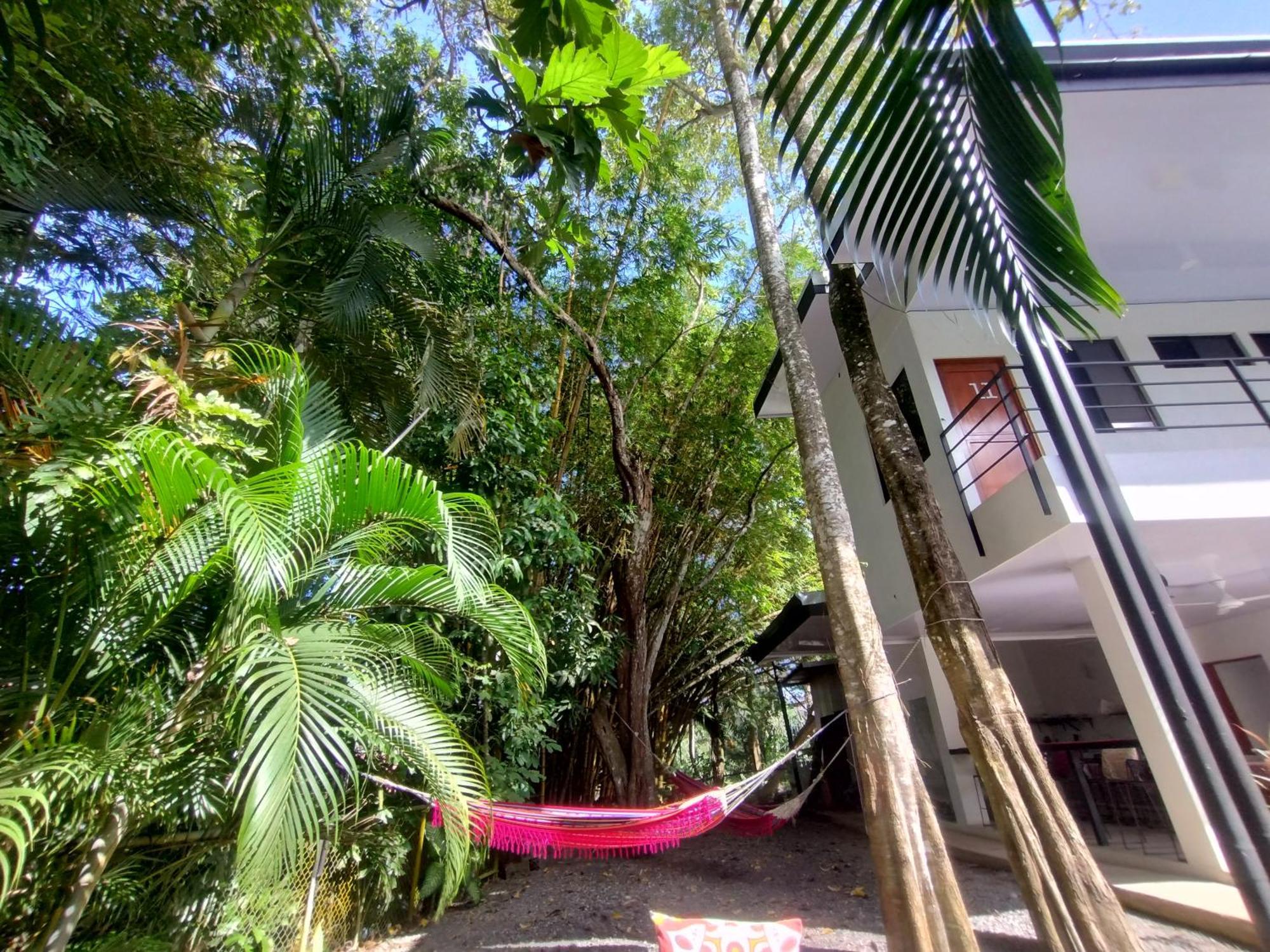 Casajungla Hostel Jacó Eksteriør billede