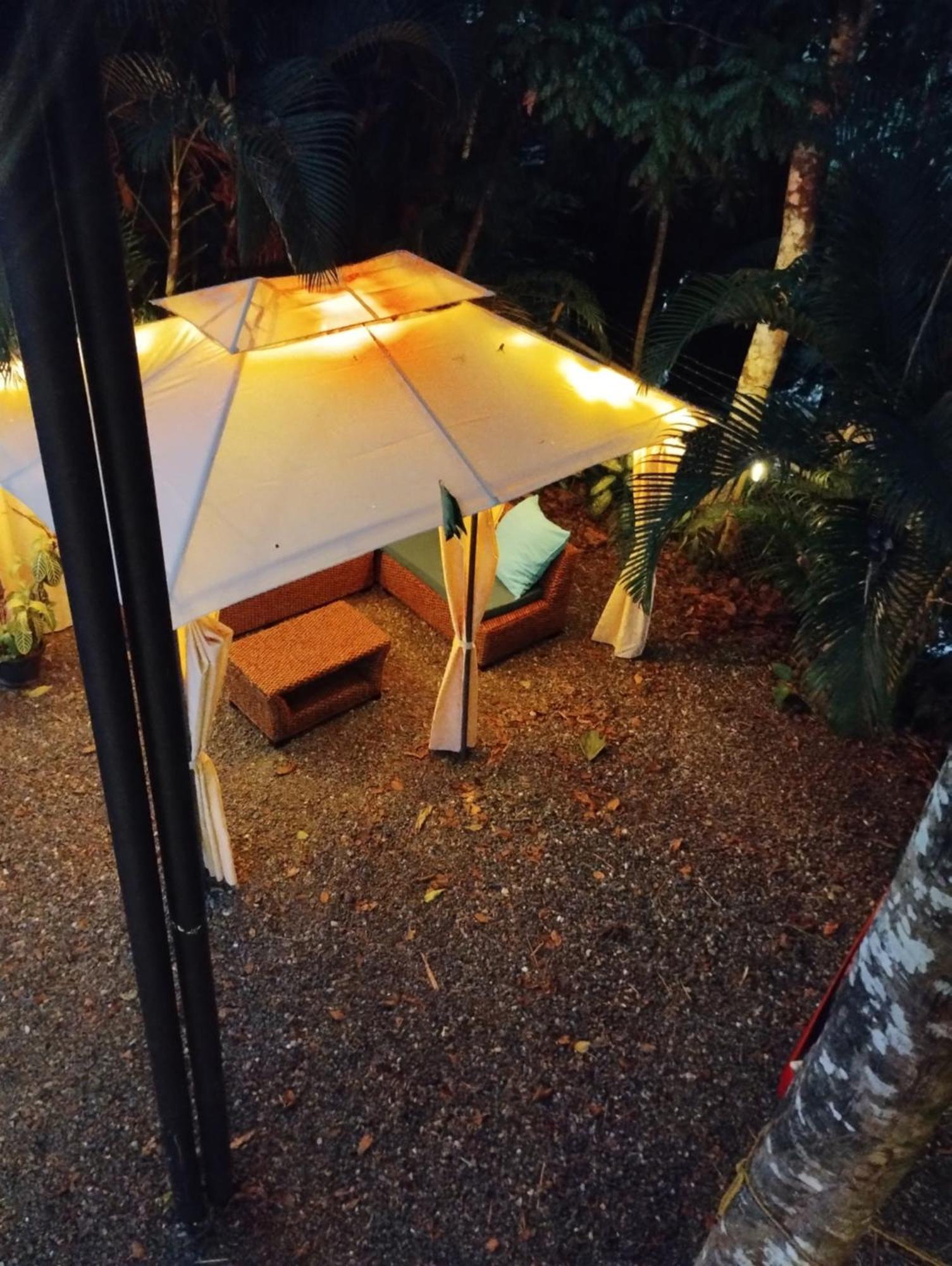 Casajungla Hostel Jacó Eksteriør billede